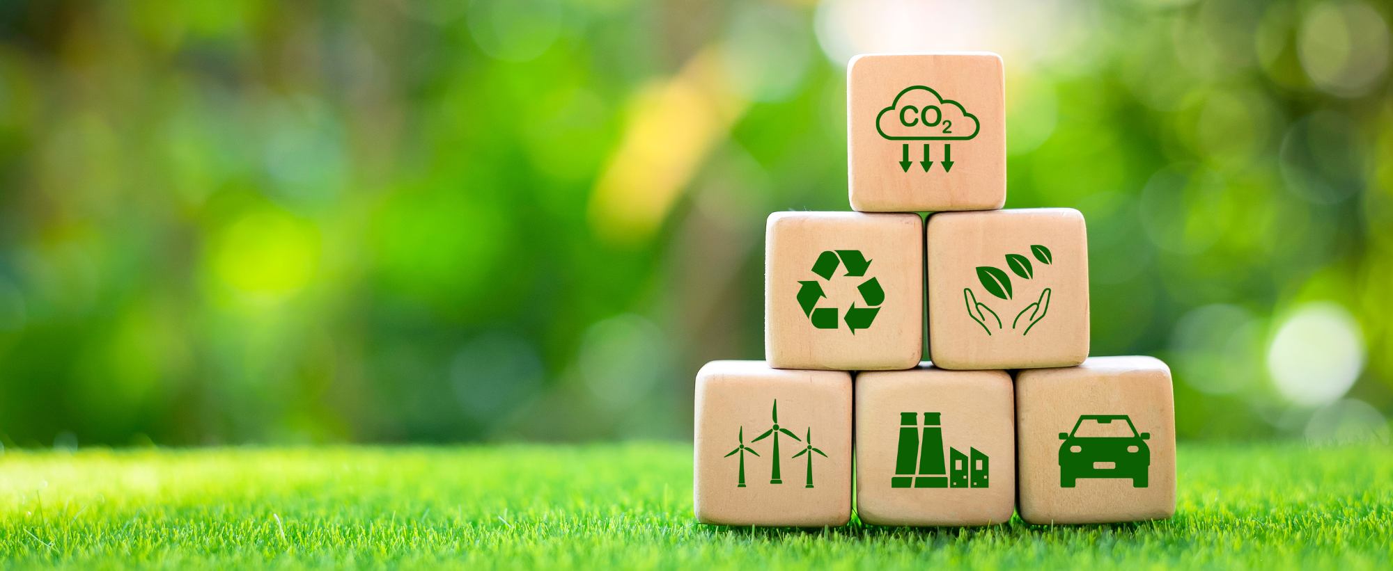 Anzio energia chi siamo – Azienda per la creazione di Comunità energetiche rinnovabili e Gruppi di autoconsumo